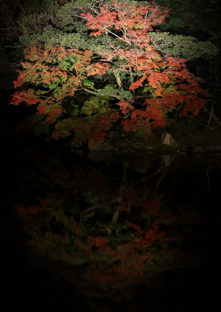 幻想庭園2015-4