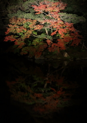 幻想庭園2015-4