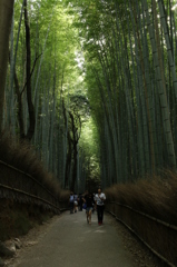 竹林銀座？