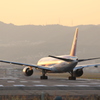 夕空に向かって