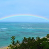 marine rainbow in waikiki beach