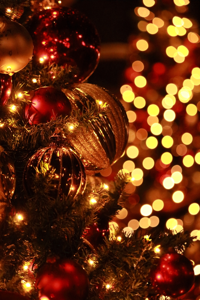 christmas tree ♪