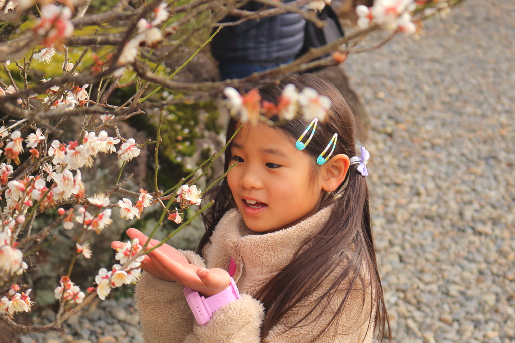 梅の花冠♪