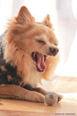 いや～ねむい！！
