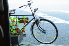 レトロ感♪♪