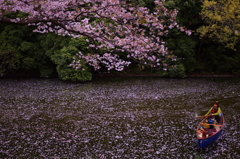 桜川