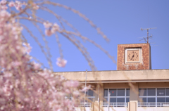 新学期