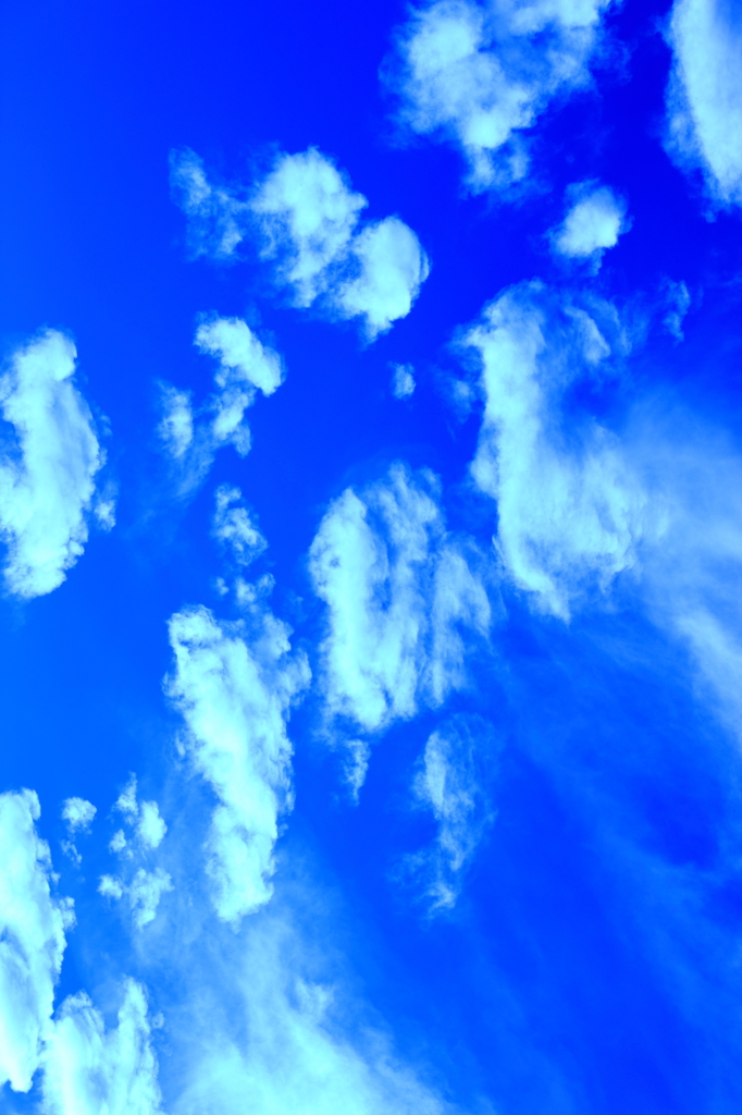 カーレースをする雲