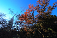日本庭園の今