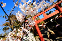 門をくぐる前に上を見よ