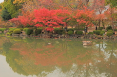 水面に映る紅葉