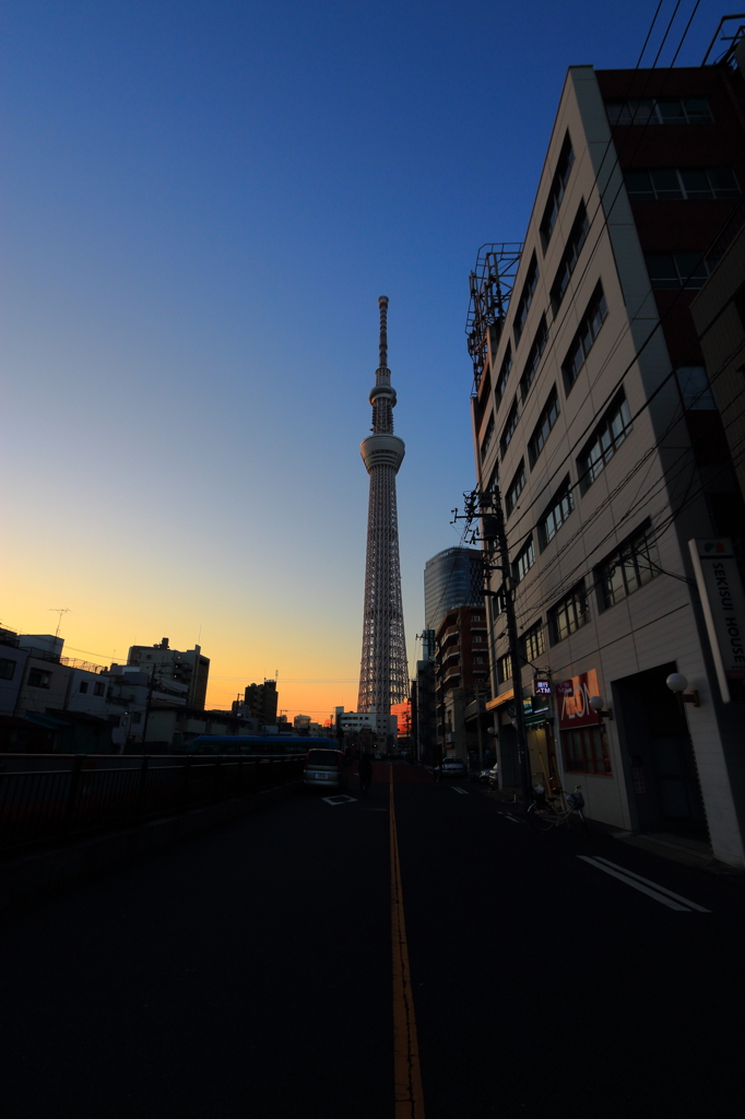 道路中心線の先に