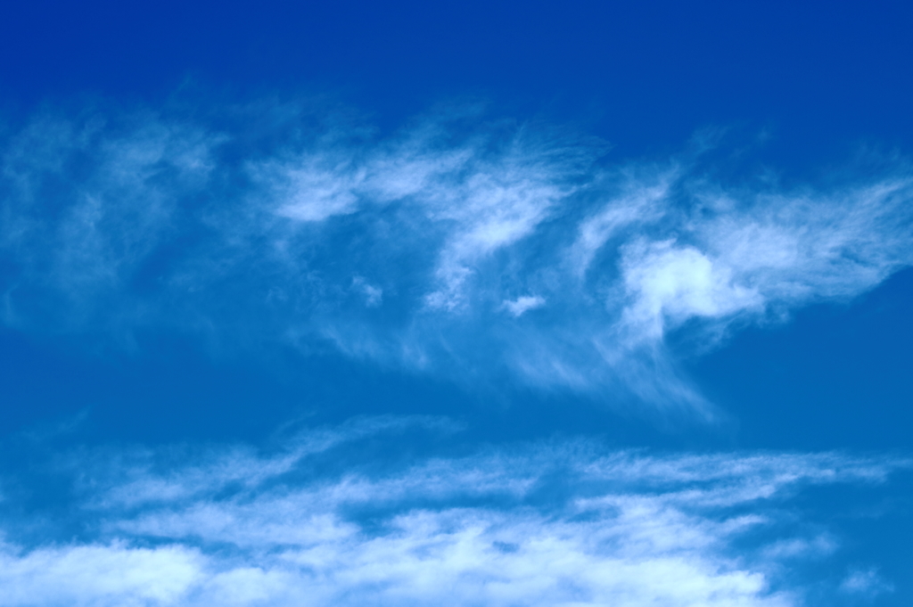 レントゲンは空で撮影