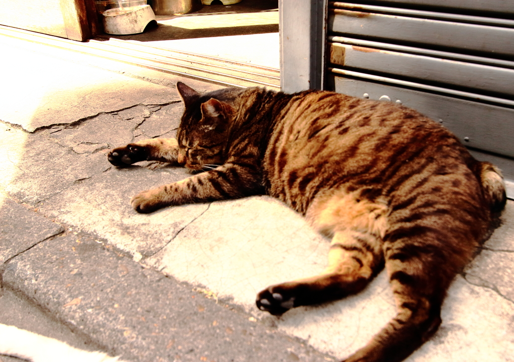 伸びてる真っ最中