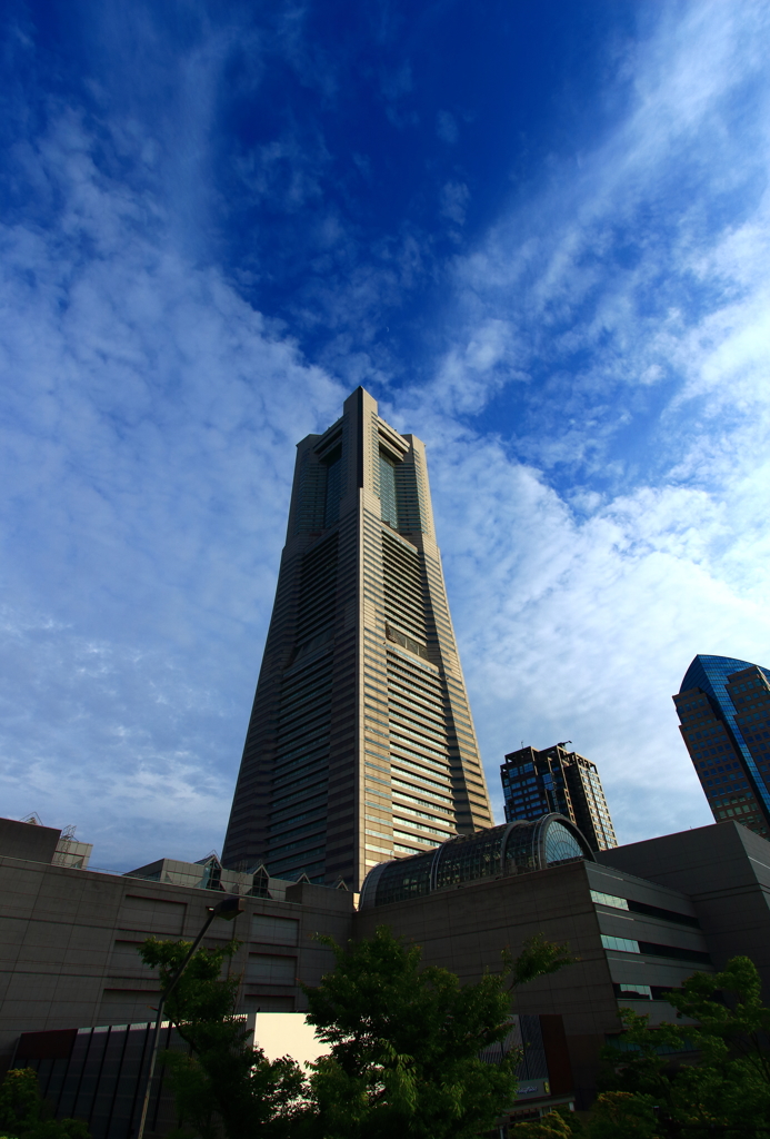 ランドマークの高さを感じる