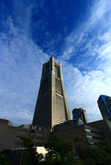 ランドマークの高さを感じる