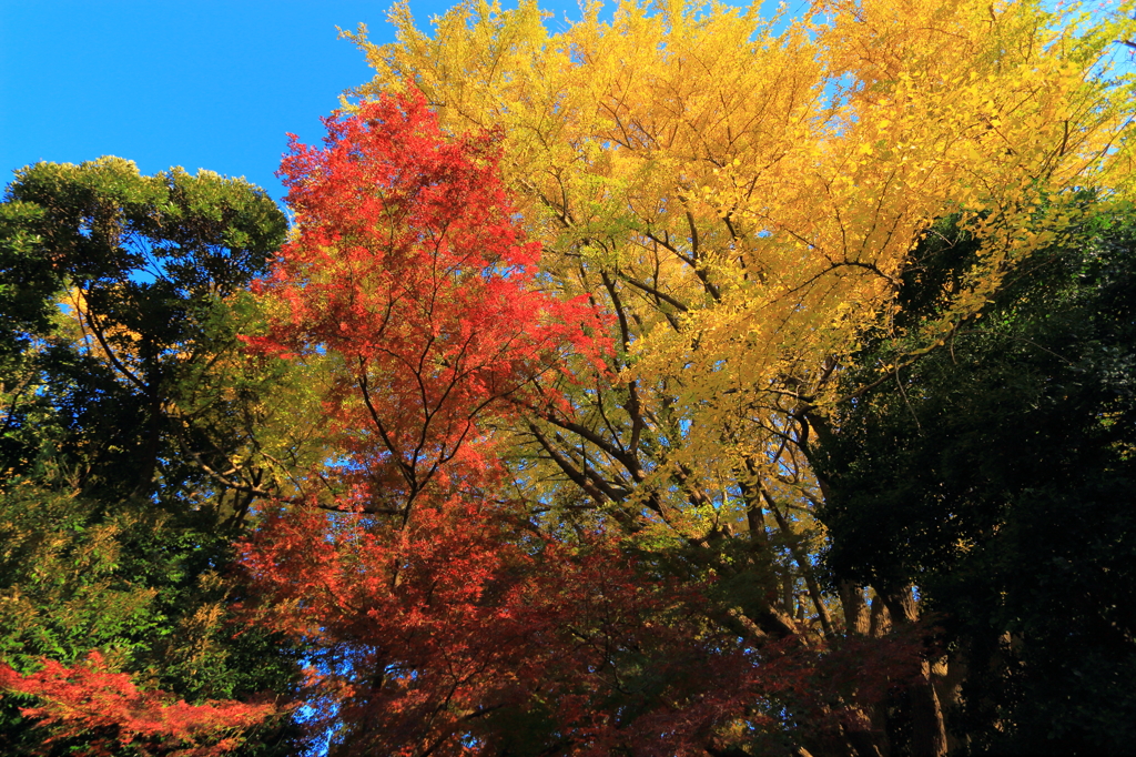 目の前の景色にただひたすら見とれる瞬間