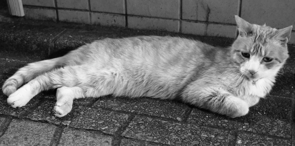 その体に触れたくて