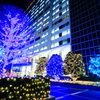 光の祭