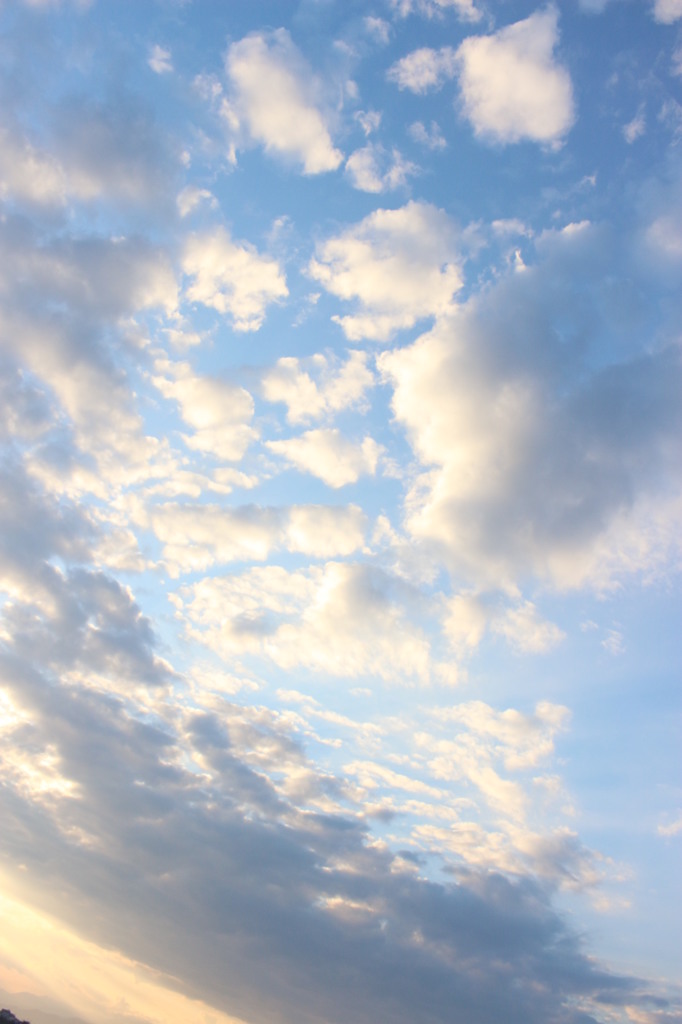 水彩画で描いて