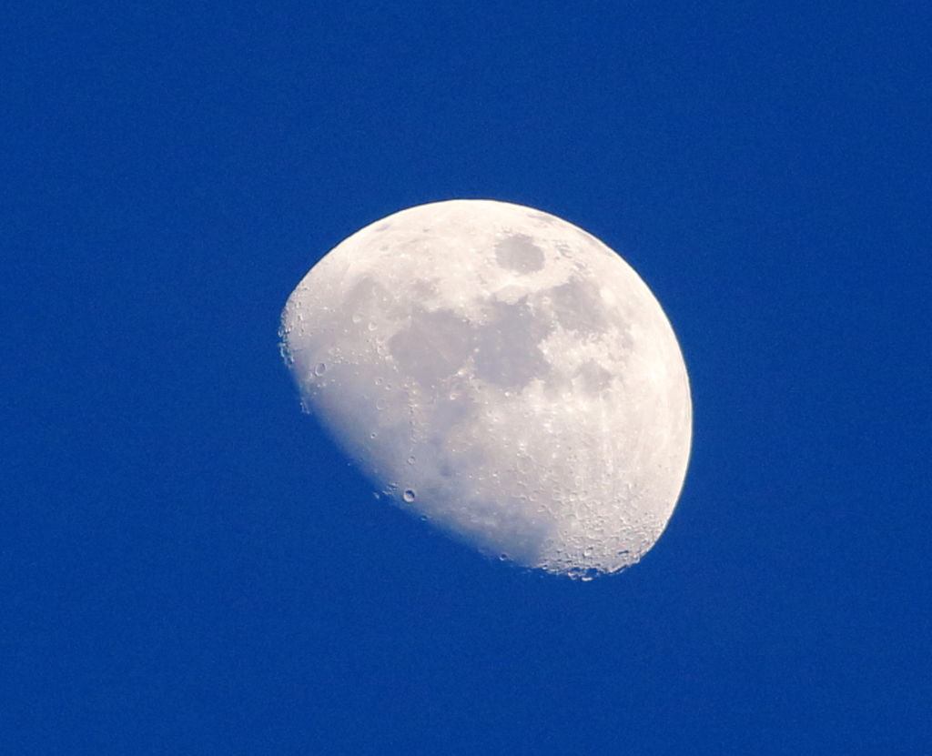 青と白銀の月