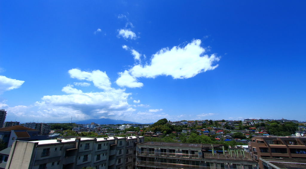 空を泳ぐクジラ