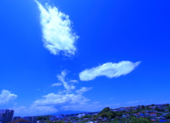 無重力な空の海