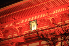清水寺の夜。