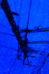水たまりを覗けば、そこは夜空に映る電柱だった。