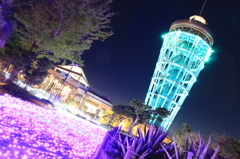 江の島灯台キラキラ