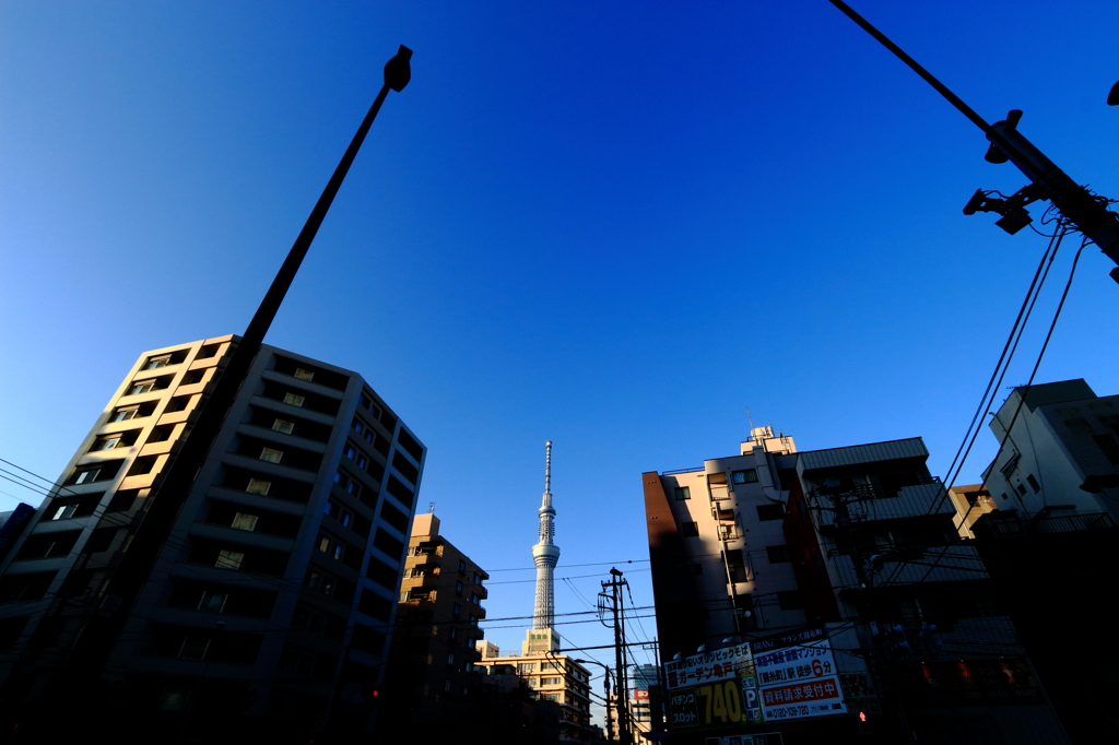 錦糸町の信号待ち