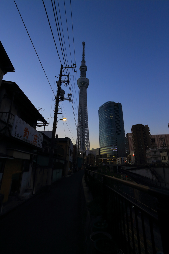 スカイツリーのある街の夕刻