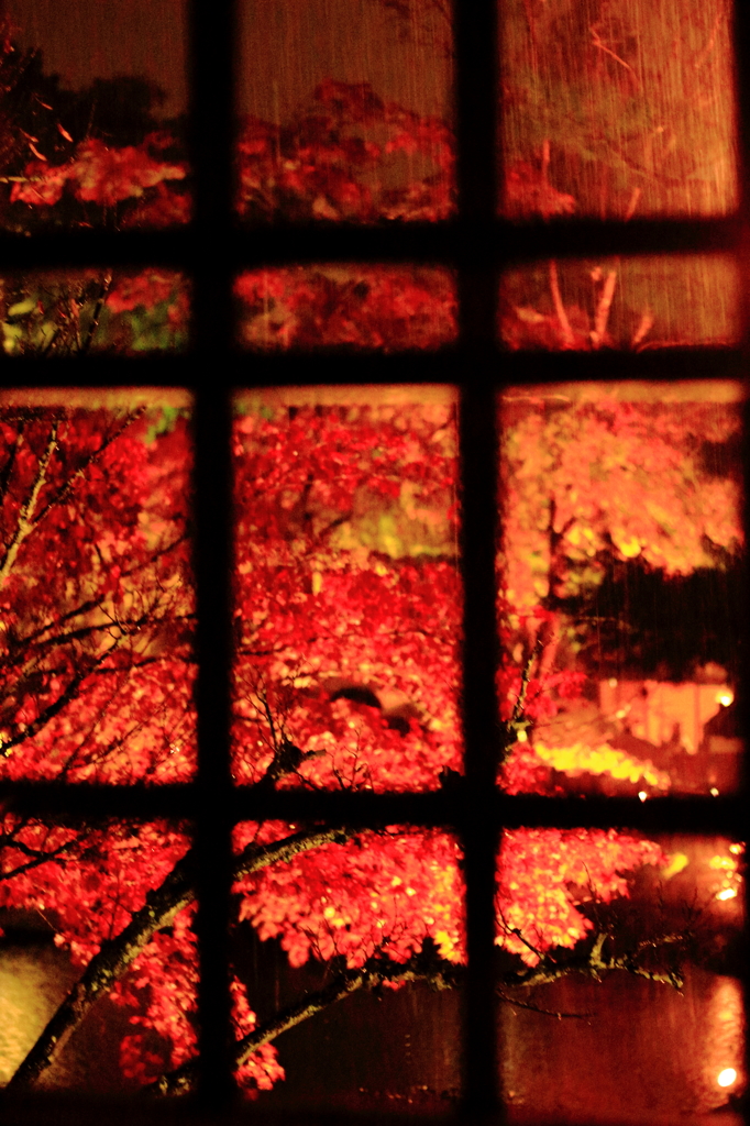 窓の外は赤の世界。