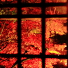 窓の外は赤の世界。