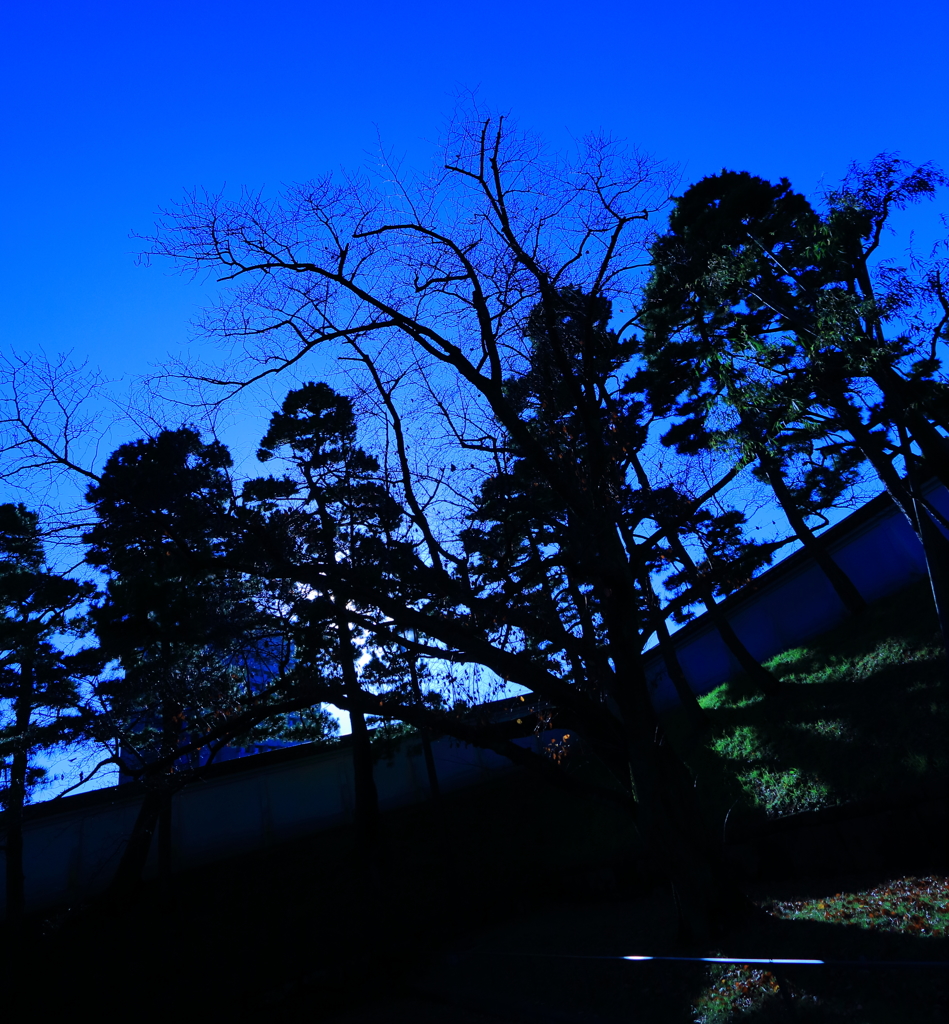 空への侵食