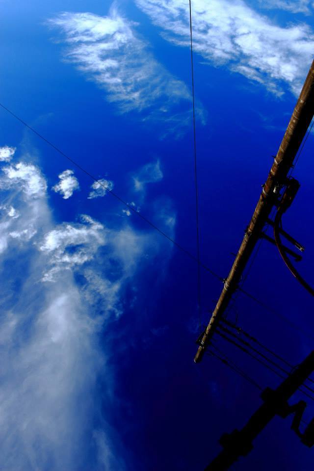 電柱の衛星