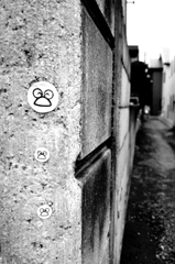 mudai
