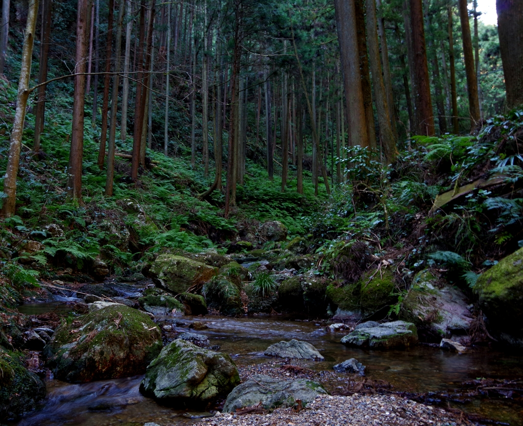 okutama