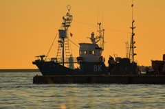 キャッチャーボートの凱旋