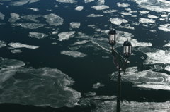 浮かぶ蓮葉氷の群れ