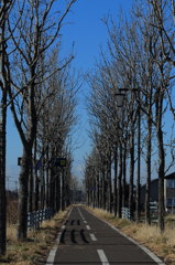 冬の空
