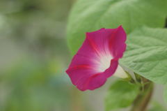 自宅で出会う幸せ