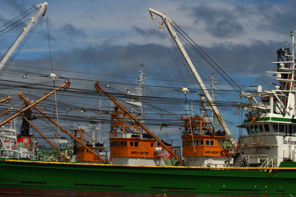 水揚高日本一の記憶
