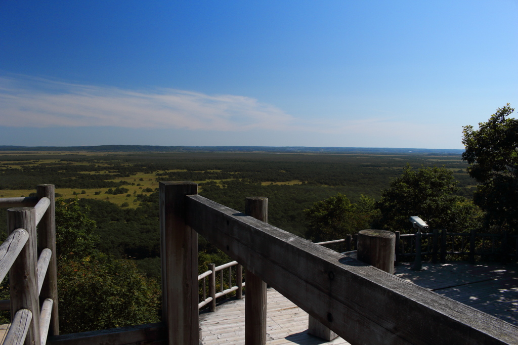 晴れた日は釧路湿原を歩いて