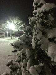 吹雪の中で