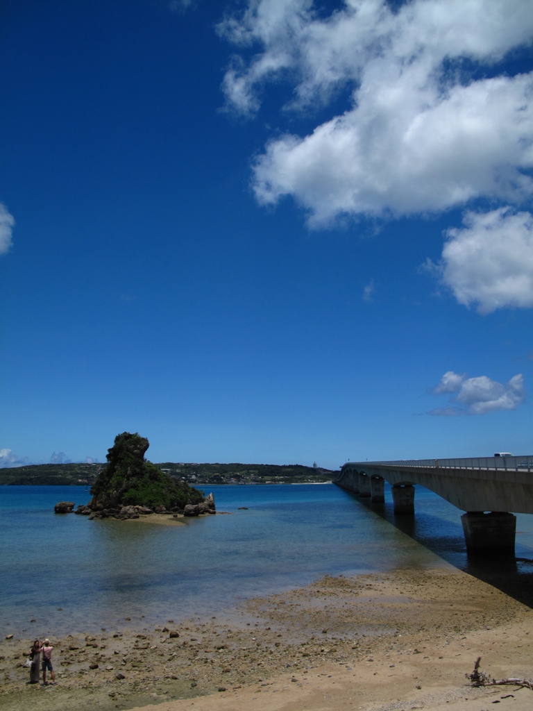あの夏の思い出