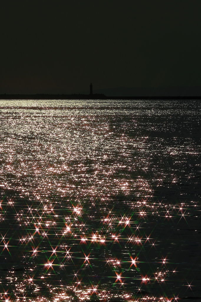 晴れた日は写真機を持って