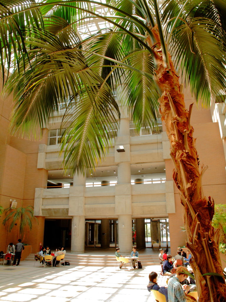 釧路 Public University リゾート