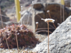 IMGP0461