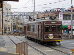 IMGP0507